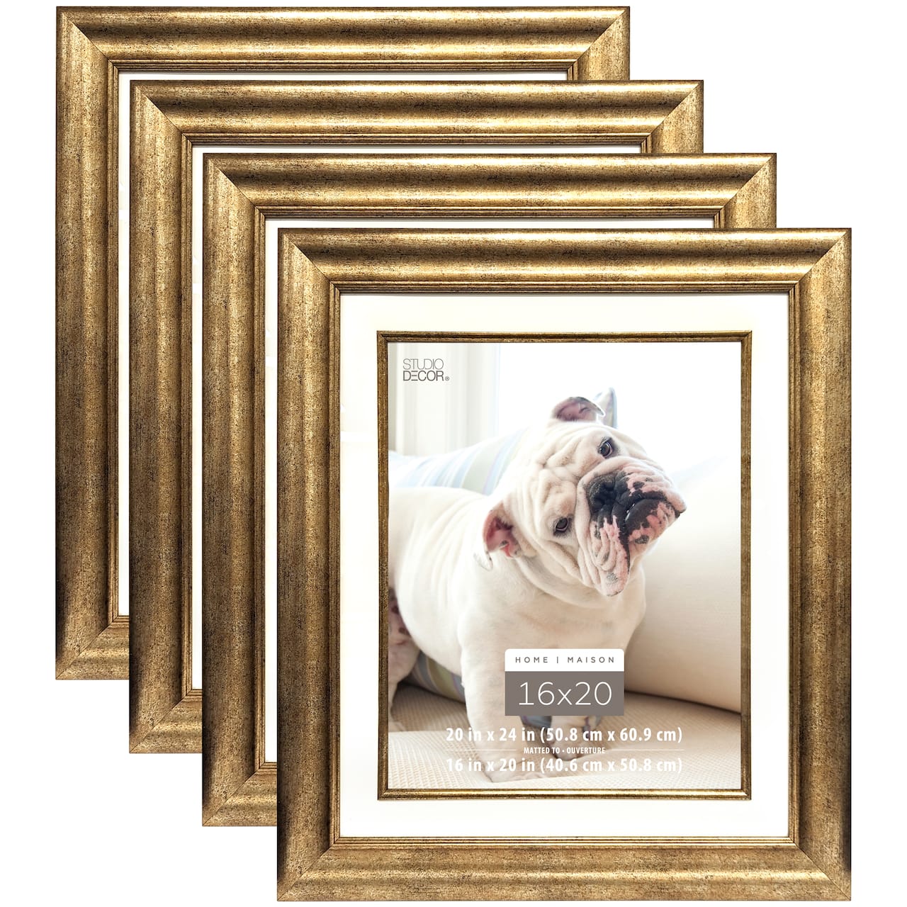 4 Pack: Champagne Frame, 20" x 24" With 16" x 20" Mat, Home Collection By Studio Décor®